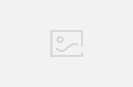 黄河新闻网